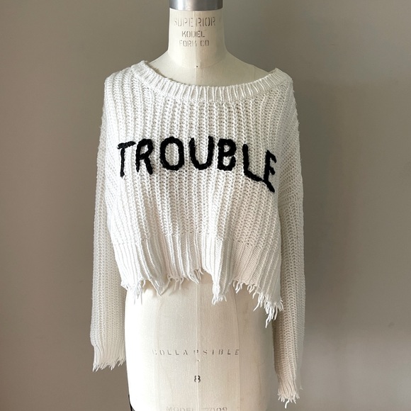 Sweaters - Wildfox Trouble Sweater 🦊